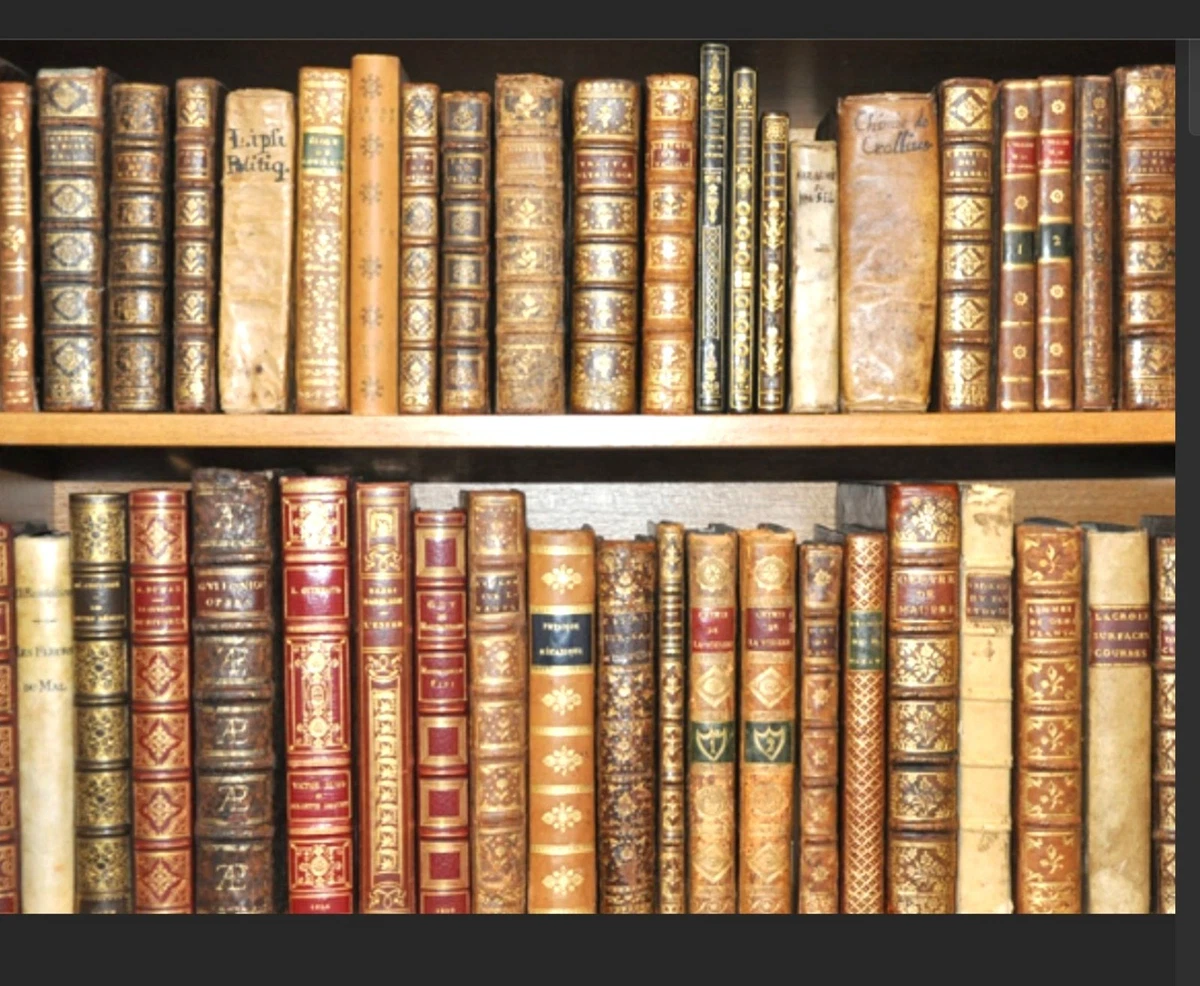 Les livres les plus rares du monde : pourquoi fascinent-ils encore les collectionneurs